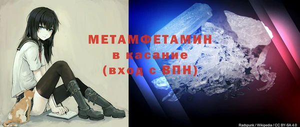 прущие грибы Надым