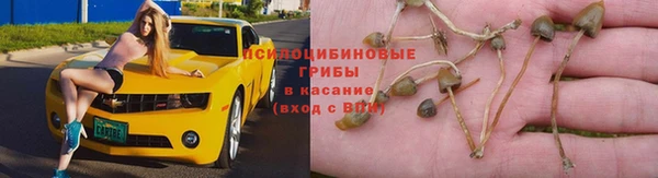 МДМА Карпинск