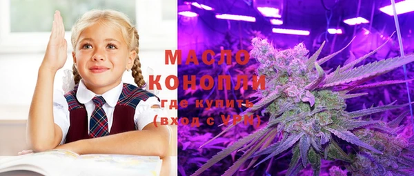соль ск Каменногорск