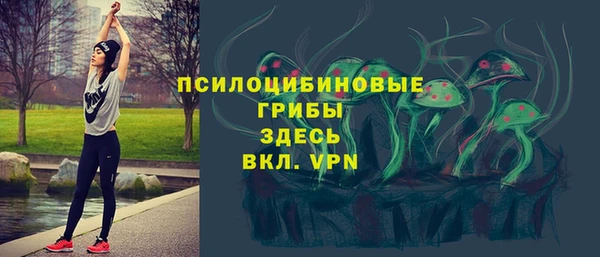 спайс Инсар