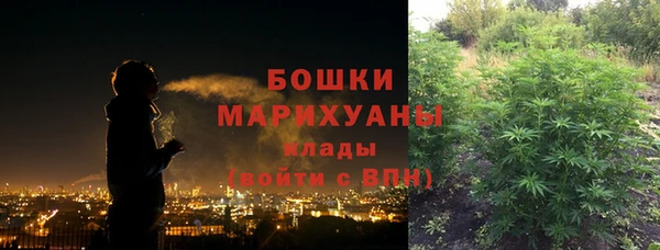 крисы Касимов